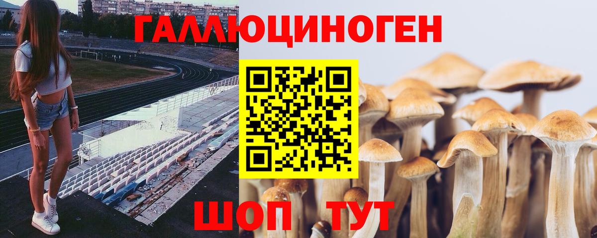 Галлюциногенные грибы мухоморы  Вход с VPN  Соль-Илецк 