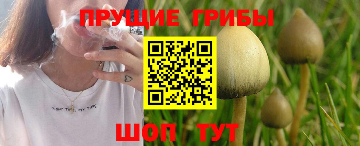 Псилоцибиновые грибы Magic Shrooms Соль-Илецк